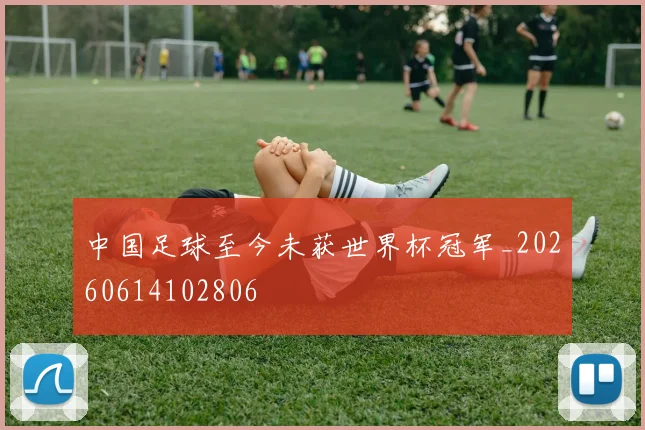 中国足球至今未获世界杯冠军_20260614102806