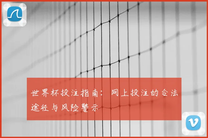 世界杯投注指南:网上投注的合法途径与风险警示