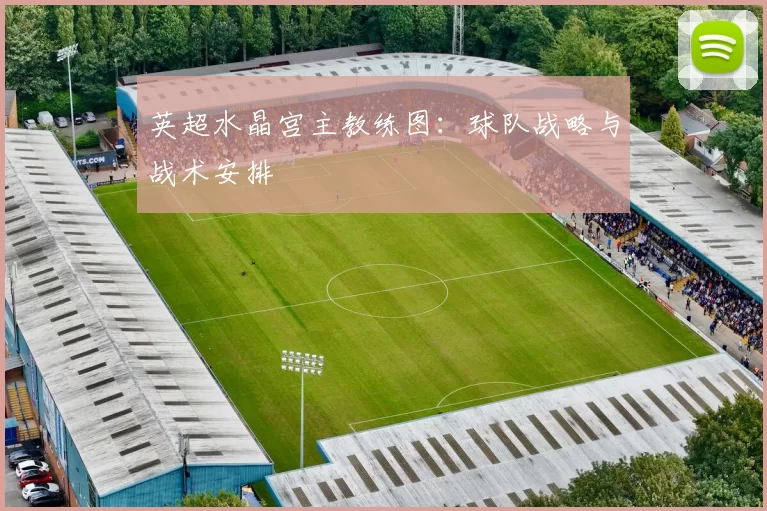 英超水晶宫主教练图：球队战略与战术安排