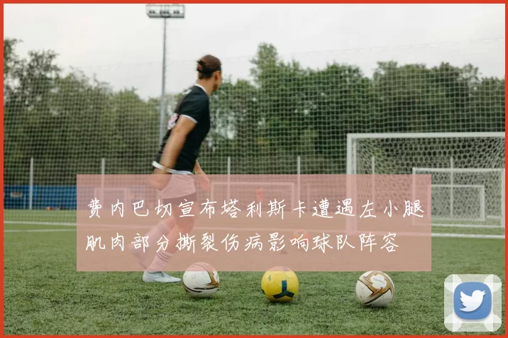 费内巴切宣布塔利斯卡遭遇左小腿肌肉部分撕裂伤病影响球队阵容