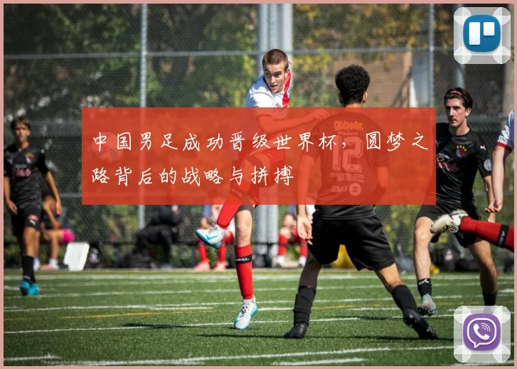中国男足成功晋级世界杯，圆梦之路背后的战略与拼搏