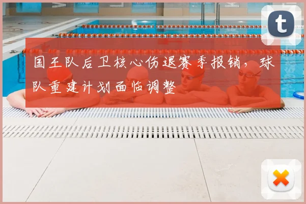 国王队后卫核心伤退赛季报销,球队重建计划面临调整
