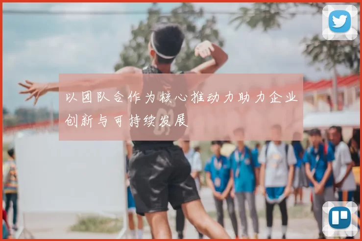 以团队合作为核心推动力助力企业创新与可持续发展