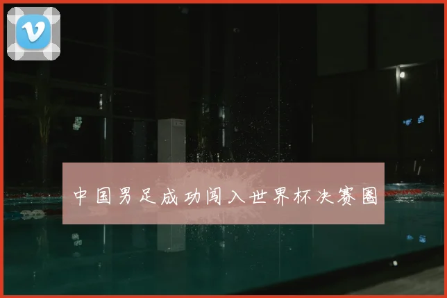 中国男足成功闯入世界杯决赛圈