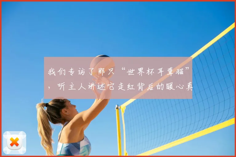 我们专访了那只“世界杯耳聋猫”，听主人讲述它走红背后的暖心真相
