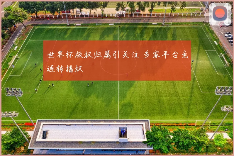 世界杯版权归属引关注 多家平台竞逐转播权
