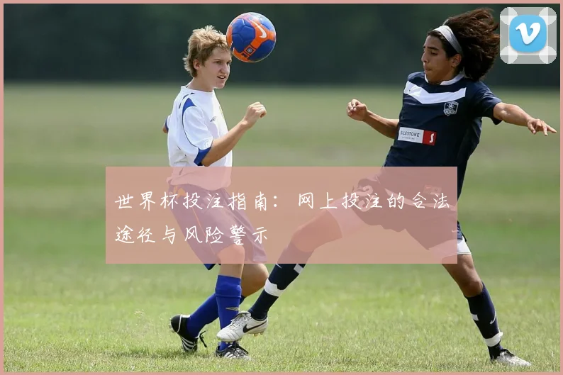 世界杯投注指南:网上投注的合法途径与风险警示