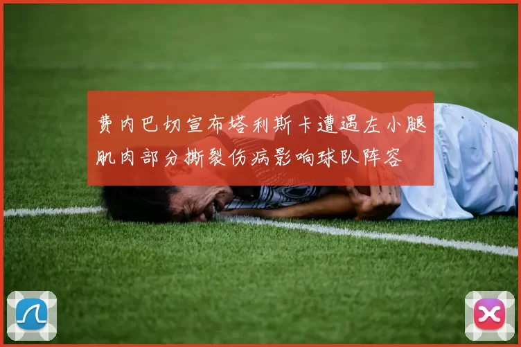 费内巴切宣布塔利斯卡遭遇左小腿肌肉部分撕裂伤病影响球队阵容