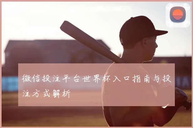 微信投注平台世界杯入口指南与投注方式解析