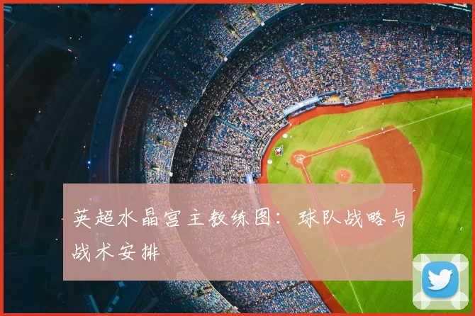 英超水晶宫主教练图：球队战略与战术安排