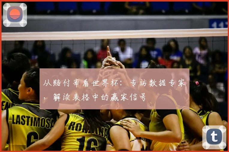 从赔付率看世界杯：专访数据专家，解读表格中的赢家信号