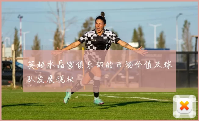 英超水晶宫俱乐部的市场价值及球队发展现状