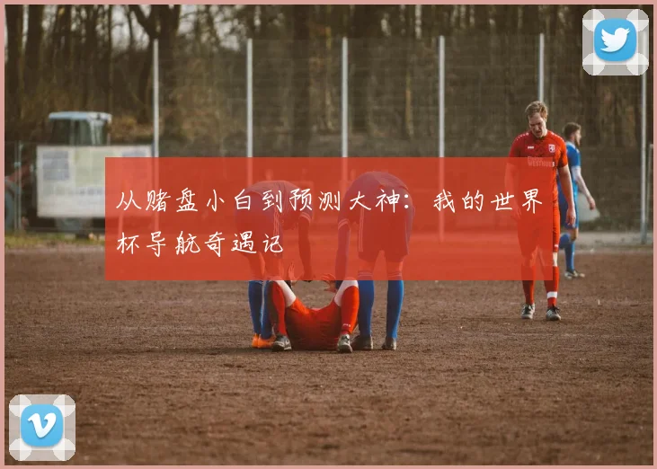 从赌盘小白到预测大神：我的世界杯导航奇遇记