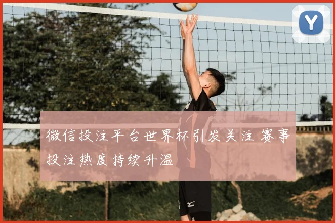 微信投注平台世界杯引发关注 赛事投注热度持续升温