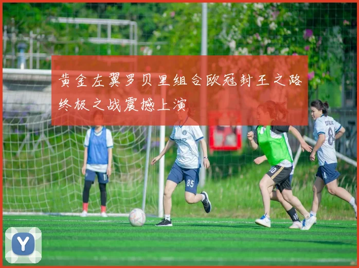 黄金左翼罗贝里组合欧冠封王之路终极之战震撼上演