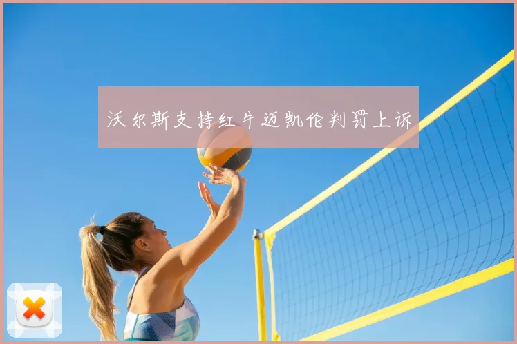 沃尔斯支持红牛迈凯伦判罚上诉