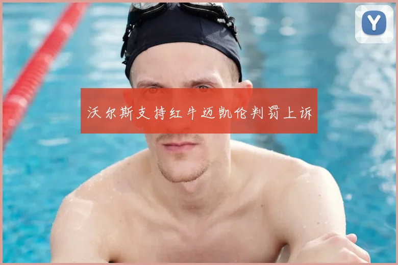 沃尔斯支持红牛迈凯伦判罚上诉