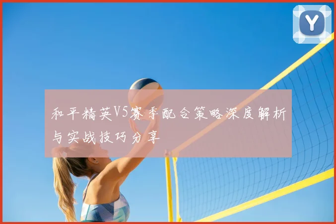 和平精英V5赛季配合策略深度解析与实战技巧分享