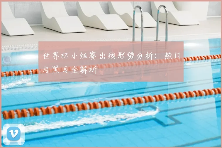 世界杯小组赛出线形势分析:热门与黑马全解析
