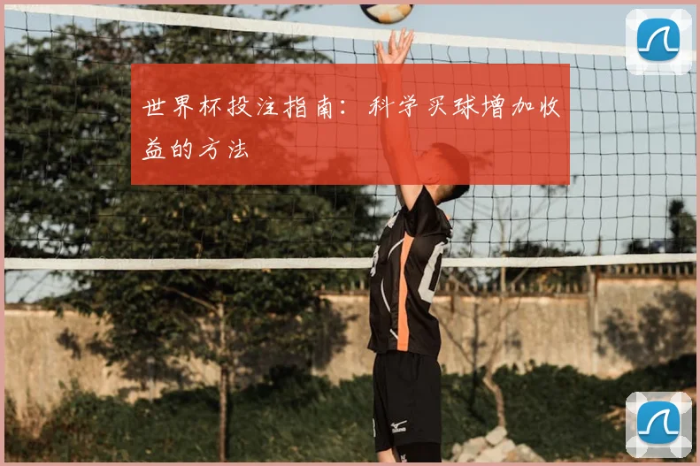 世界杯投注指南：科学买球增加收益的方法