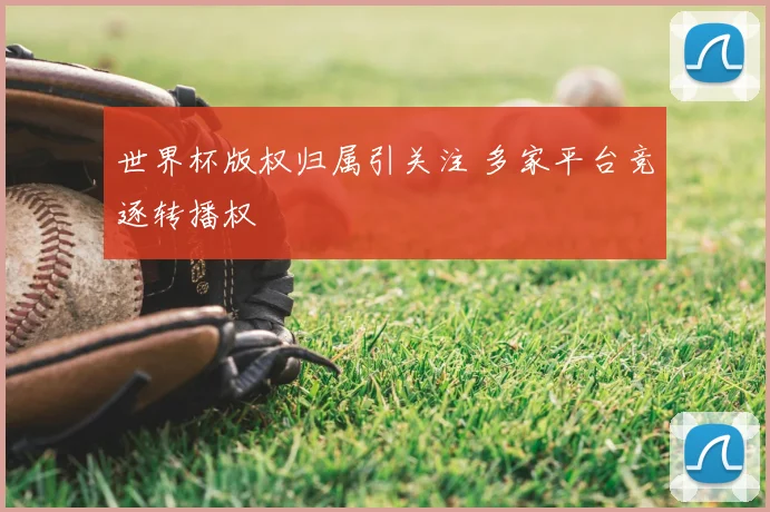 世界杯版权归属引关注 多家平台竞逐转播权