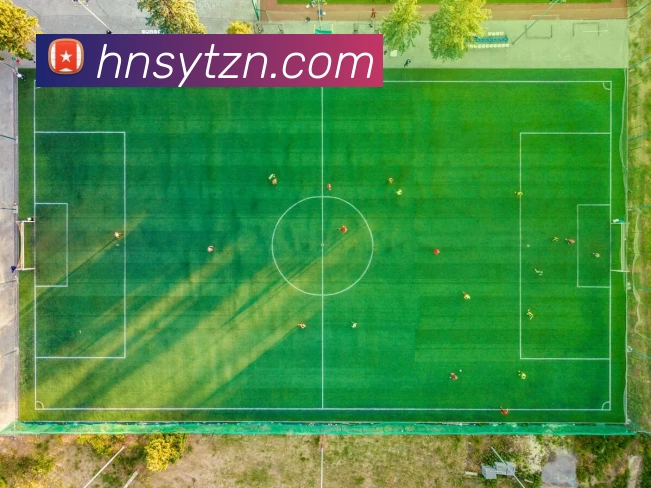 十大信誉好的平台APP 高清赛事图